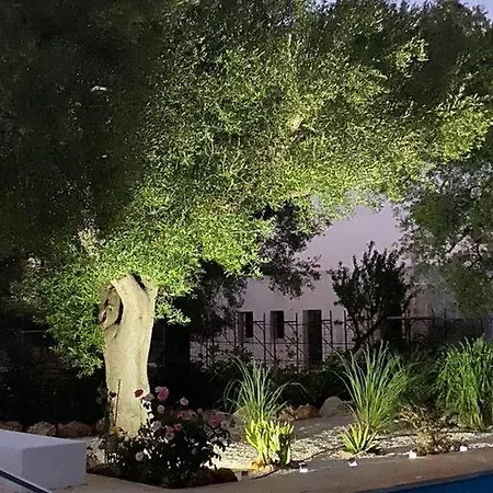 Trullo Maria Elisabetta Avec Piscine Pour 8 * サン・ヴィート・デイ・ノルマンニ