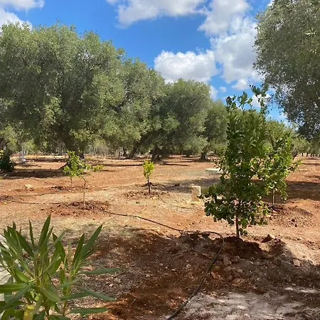 Trullo Maria Elisabetta Avec Piscine Pour 8 ヴィラ *